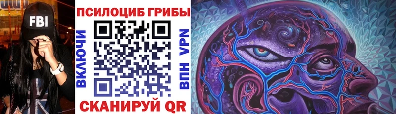 Псилоцибиновые грибы GOLDEN TEACHER  Купить  Спасск 