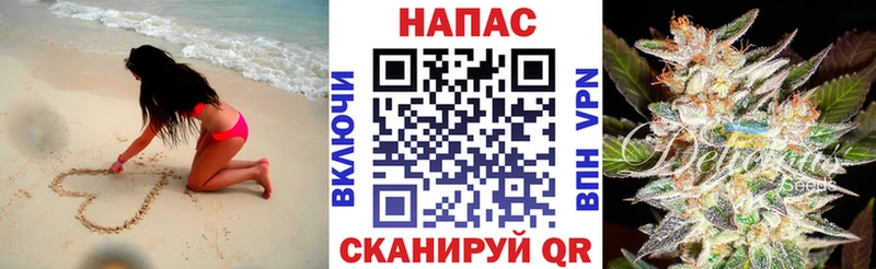 Купить  Спасск  Конопля ГИДРОПОН 